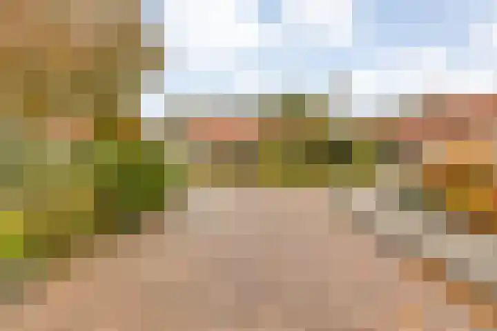Johan Wilhem Thibautstraat 11 Middelburg thumbnail 37