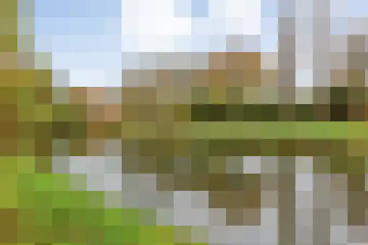 Johan Wilhem Thibautstraat 11 Middelburg thumbnail 38