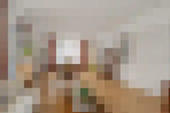 Johan Willem Frisolaan 1 IJsselstein thumbnail 10