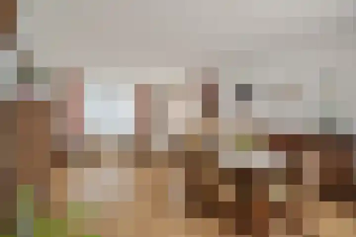 Johan Willem Frisolaan 1 IJsselstein thumbnail 13