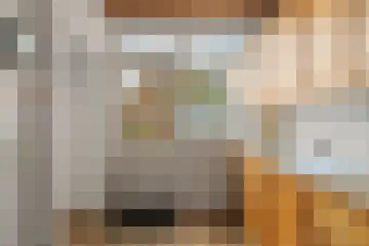 Johan Willem Frisolaan 1 IJsselstein thumbnail 16
