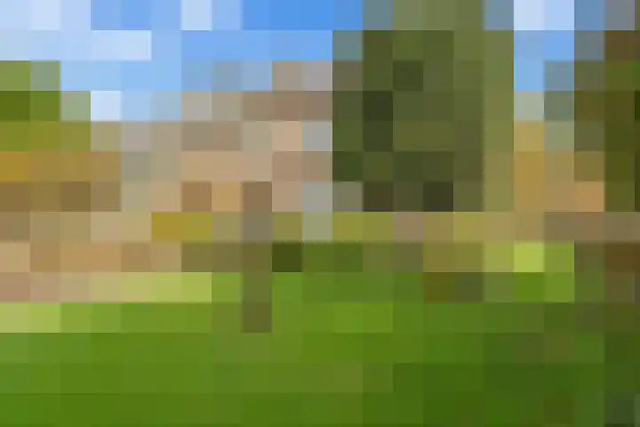 Johan Willem Frisolaan 1 IJsselstein thumbnail 21