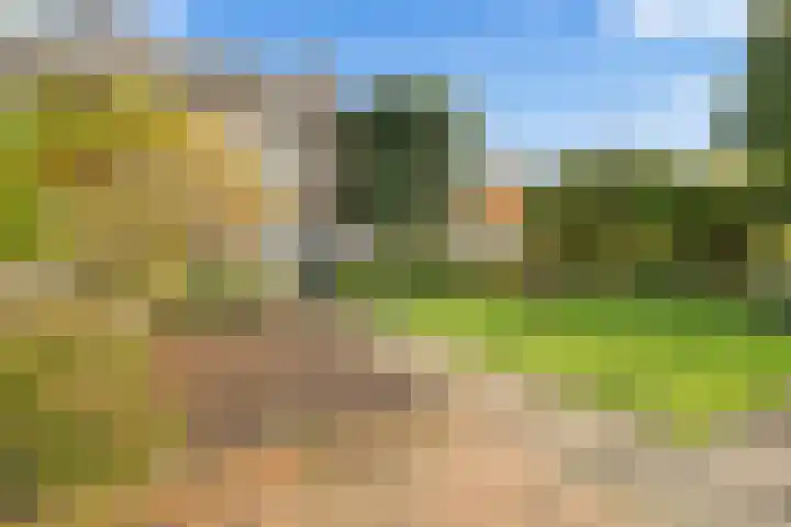 Johan Willem Frisolaan 1 IJsselstein thumbnail 23