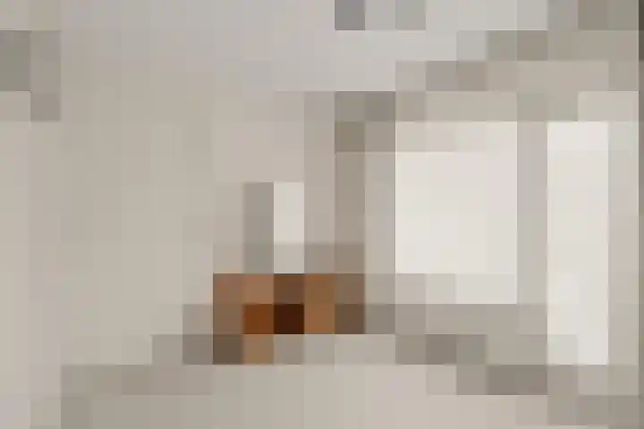Johan Willem Frisolaan 1 IJsselstein thumbnail 31