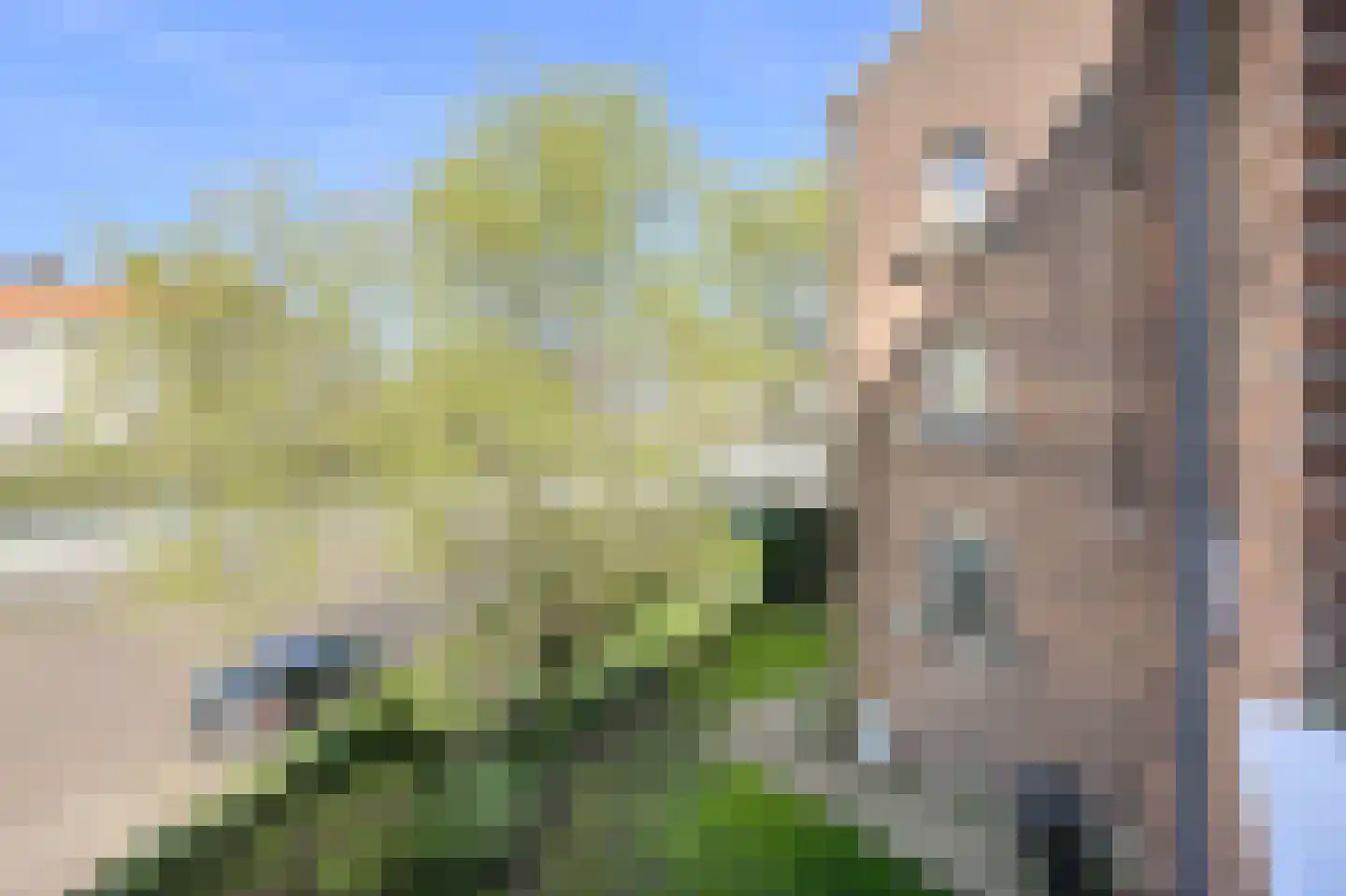 Johan Willem Frisolaan 11 A Breda thumbnail 16