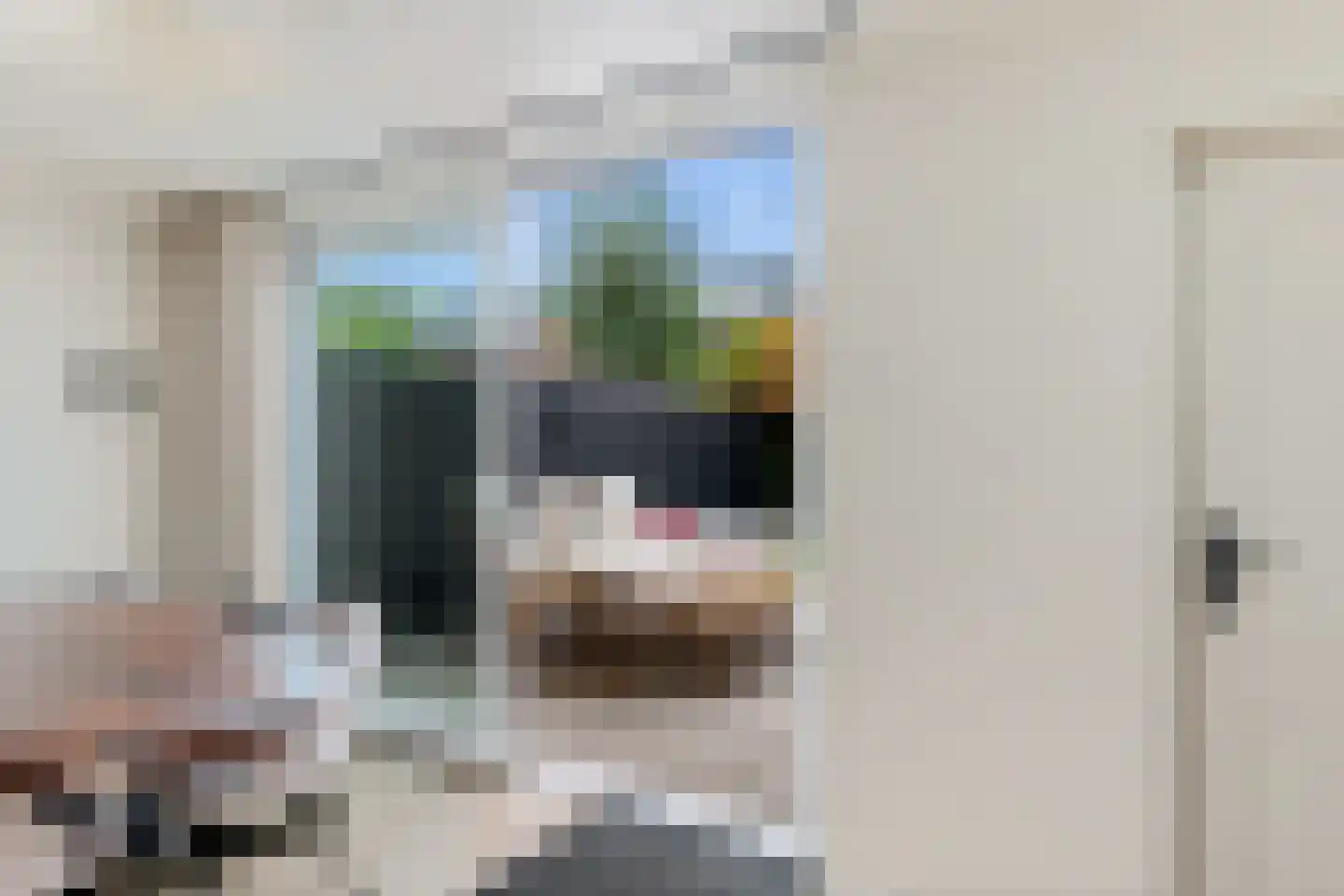 Johan Willem Frisolaan 14 Woudenberg thumbnail 15