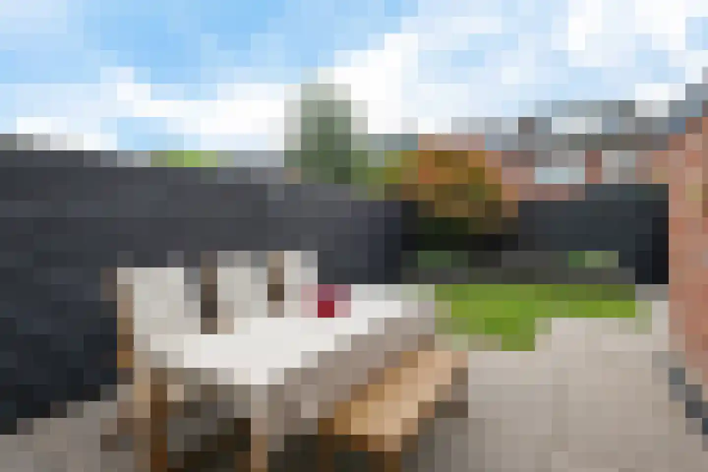 Johan Willem Frisolaan 14 Woudenberg thumbnail 37