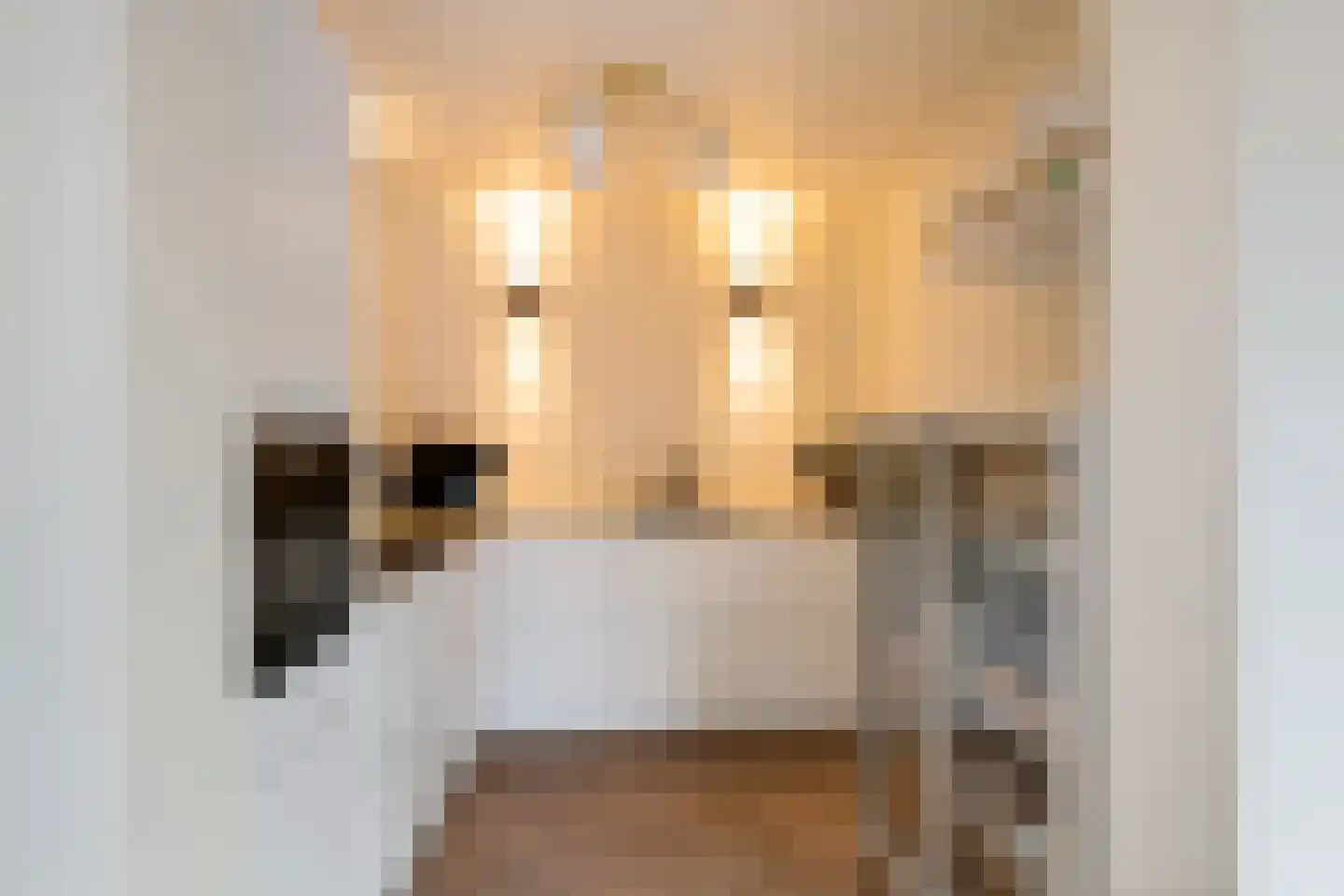 Johan Willem Frisolaan 14 Woudenberg thumbnail 4