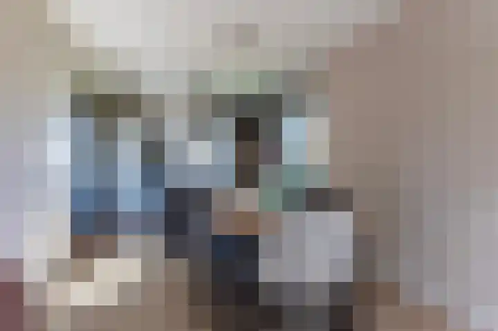 Johan Willem Frisolaan 17 Steenwijk thumbnail 11