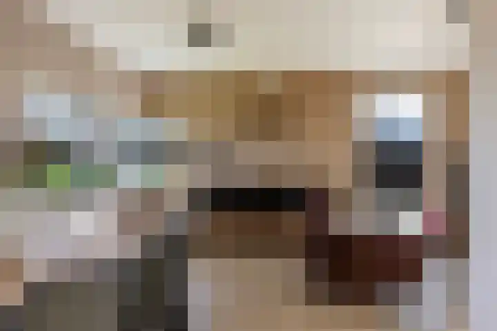 Johan Willem Frisolaan 17 Steenwijk thumbnail 13