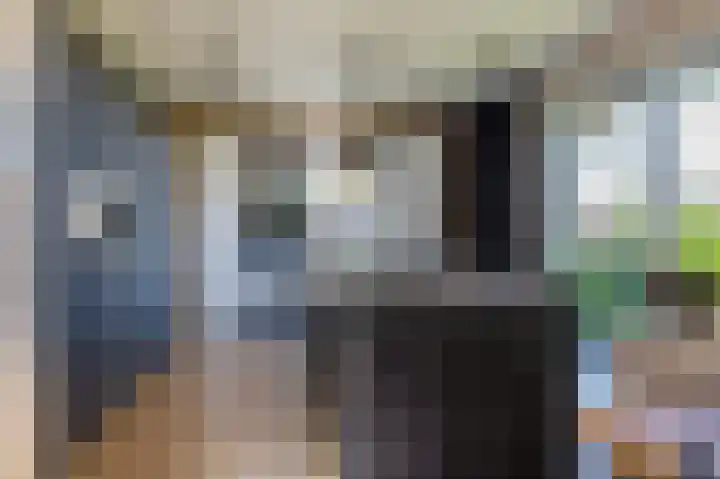 Johan Willem Frisolaan 17 Steenwijk thumbnail 14