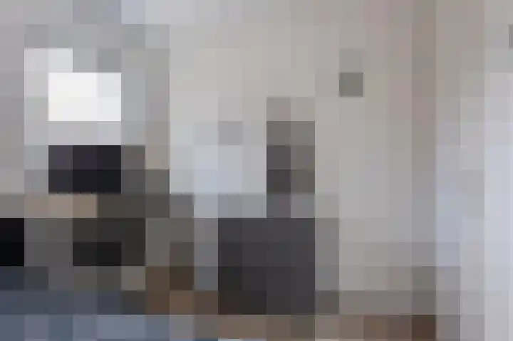 Johan Willem Frisolaan 17 Steenwijk thumbnail 27