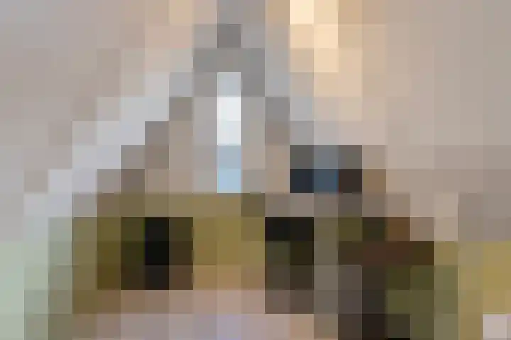 Johan Willem Frisolaan 17 Steenwijk thumbnail 37