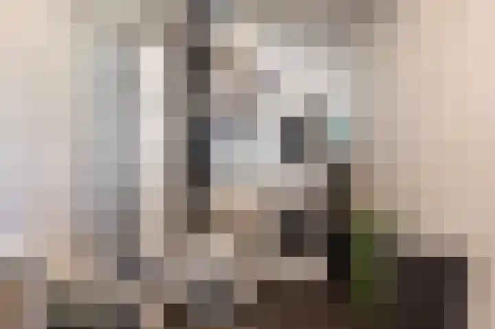 Johan Willem Frisolaan 17 Steenwijk thumbnail 39