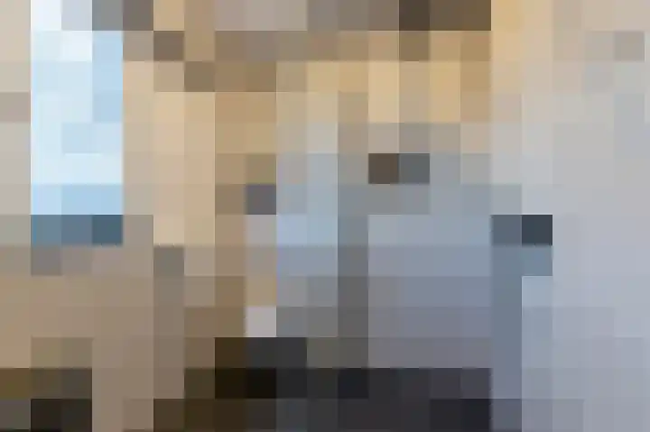 Johan Willem Frisolaan 17 Steenwijk thumbnail 4