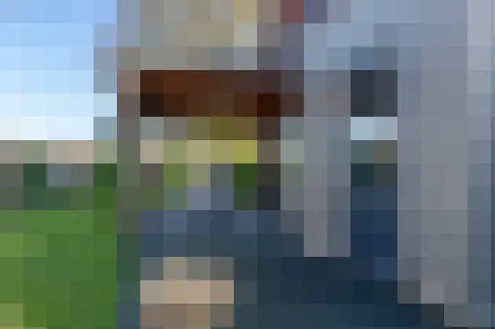 Johan Willem Frisolaan 17 Steenwijk thumbnail 50