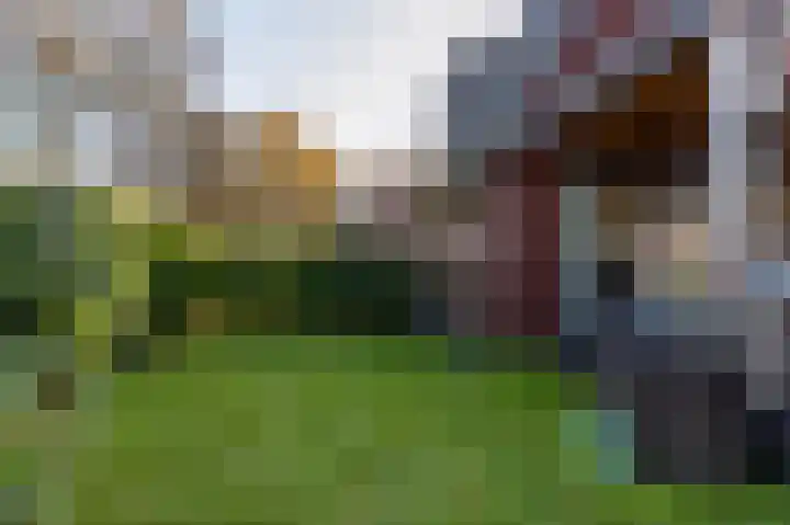 Johan Willem Frisolaan 17 Steenwijk thumbnail 55