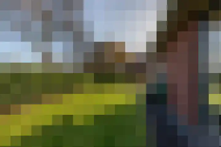 Johan Willem Frisolaan 17 Steenwijk thumbnail 56