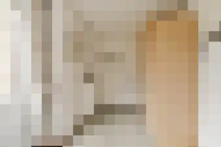 Johan Willem Frisolaan 18 Vlaardingen thumbnail 10