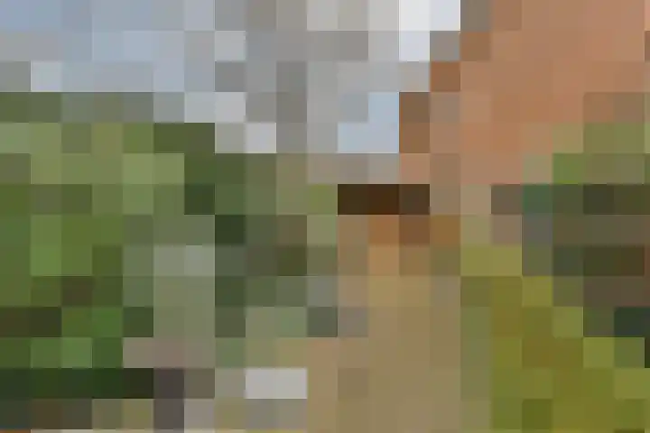 Johan Willem Frisolaan 18 Vlaardingen thumbnail 12