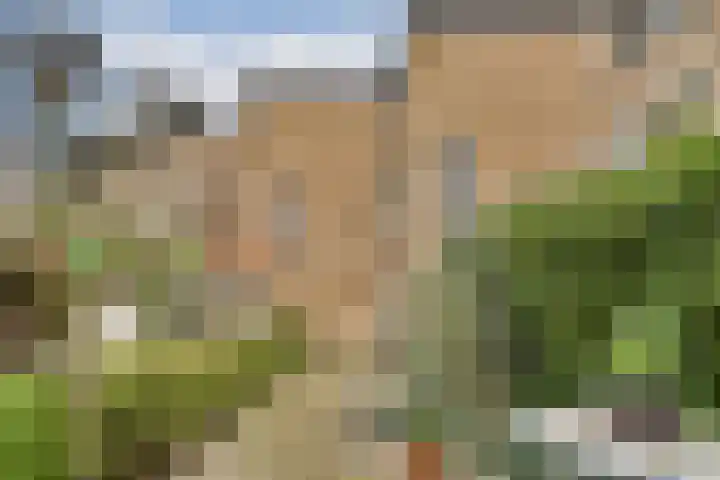 Johan Willem Frisolaan 18 Vlaardingen thumbnail 13