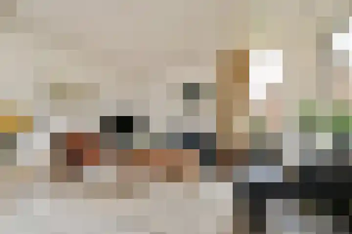 Johan Willem Frisolaan 18 Vlaardingen thumbnail 15