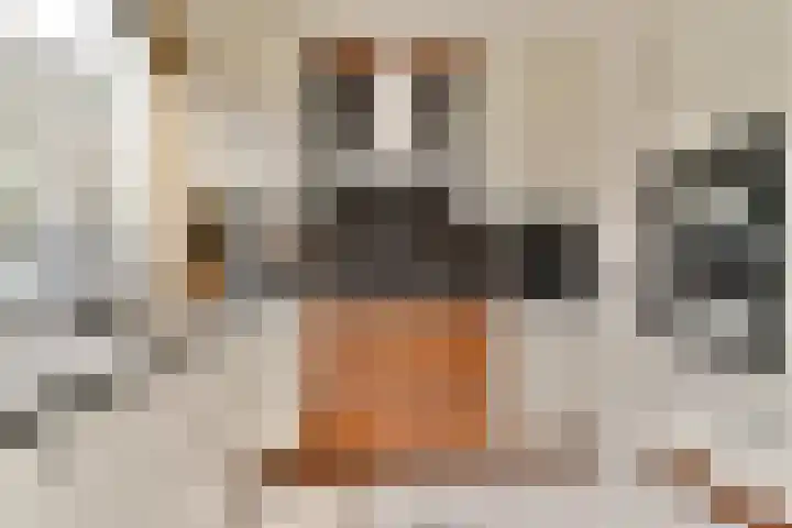 Johan Willem Frisolaan 18 Vlaardingen thumbnail 18