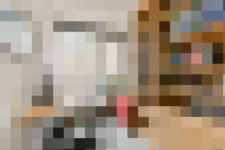 Johan Willem Frisolaan 18 Vlaardingen thumbnail 28