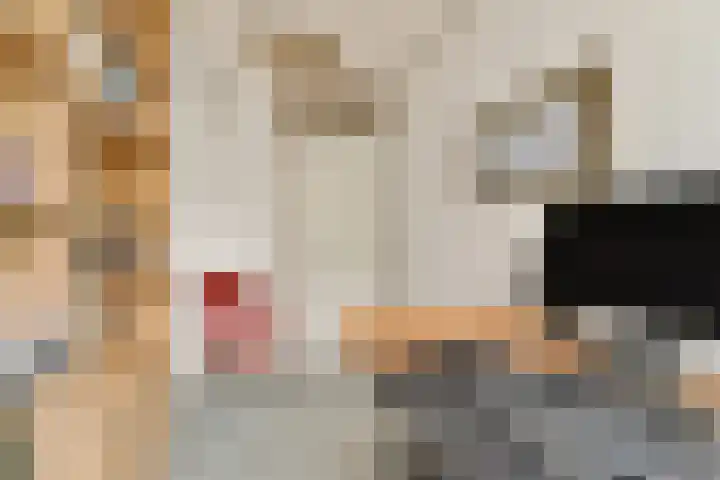 Johan Willem Frisolaan 18 Vlaardingen thumbnail 29