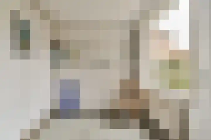 Johan Willem Frisolaan 18 Vlaardingen thumbnail 9