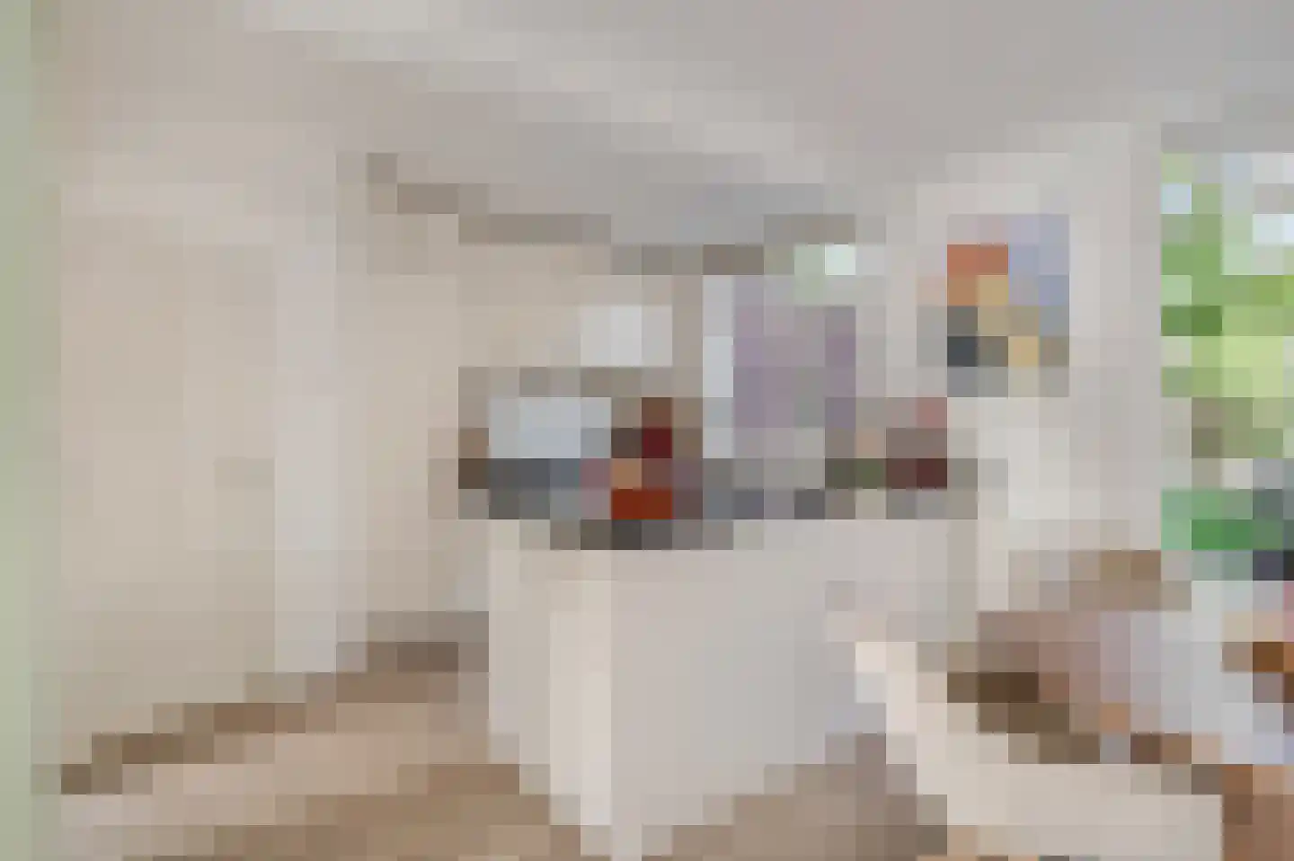 Johan Willem Frisolaan 2 Ede thumbnail 7