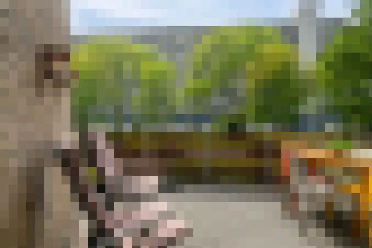 Johan Willem Frisolaan 20 Vlaardingen thumbnail 19