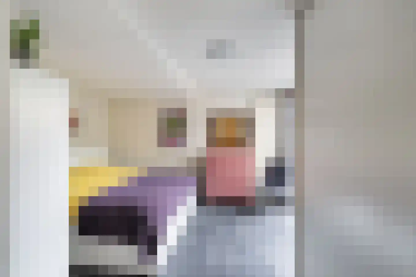 Johan Willem Frisolaan 20 Vlaardingen thumbnail 6
