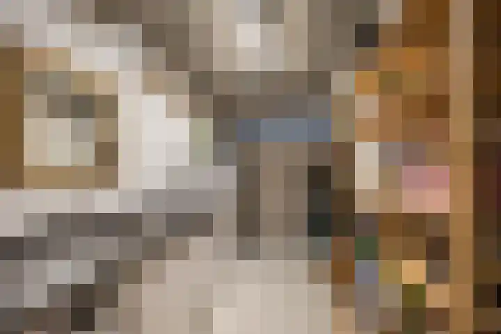 Johan Willem Frisolaan 24 Vlaardingen thumbnail 44