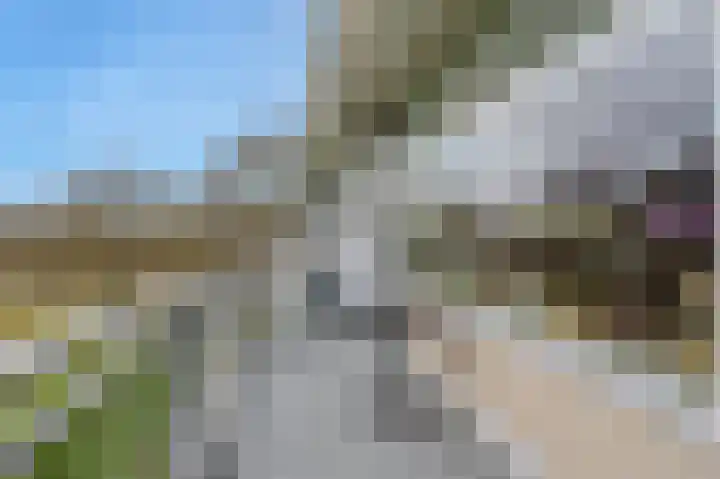 Johan Willem Frisolaan 28 a Hoogezand thumbnail 27