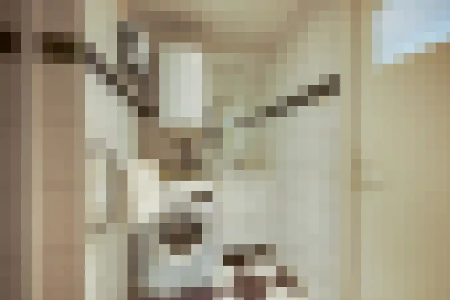 Johan Willem Frisolaan 3 A Voorschoten thumbnail 13