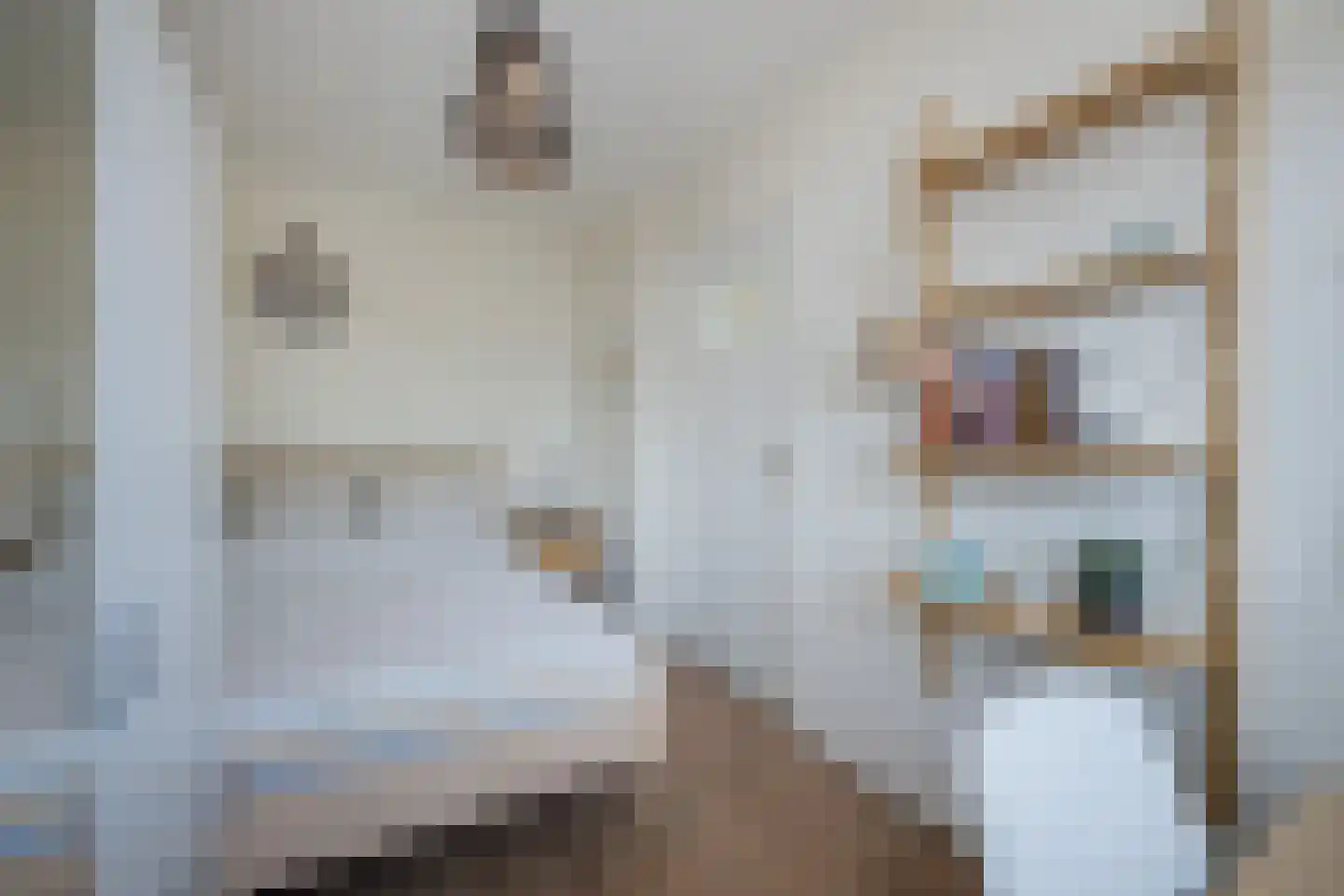 Johan Willem Frisolaan 3 A Voorschoten thumbnail 30
