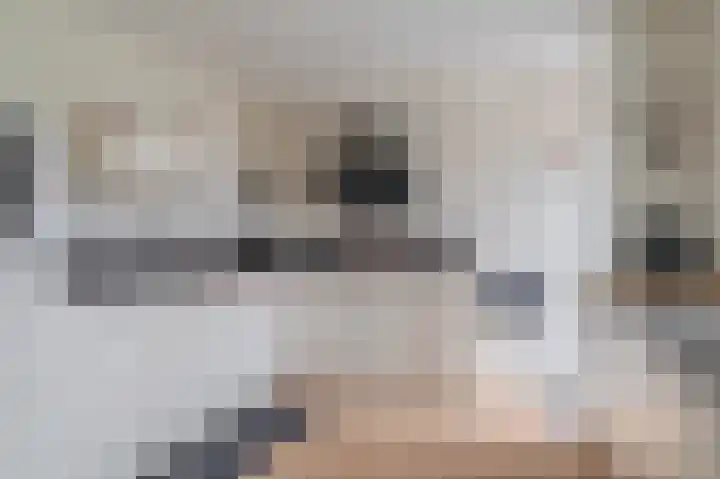 Johan Willem Frisolaan 3 Hoogezand thumbnail 25