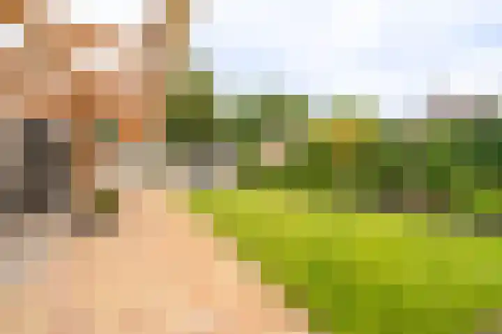 Johan Willem Frisolaan 3 Hoogezand thumbnail 34