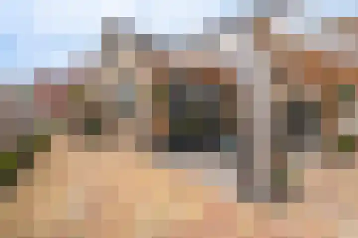 Johan Willem Frisolaan 3 Hoogezand thumbnail 39