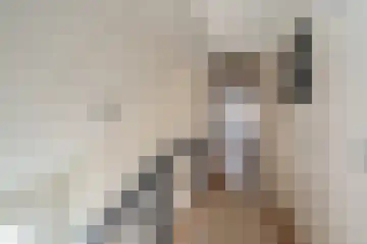 Johan Willem Frisolaan 3 Hoogezand thumbnail 49