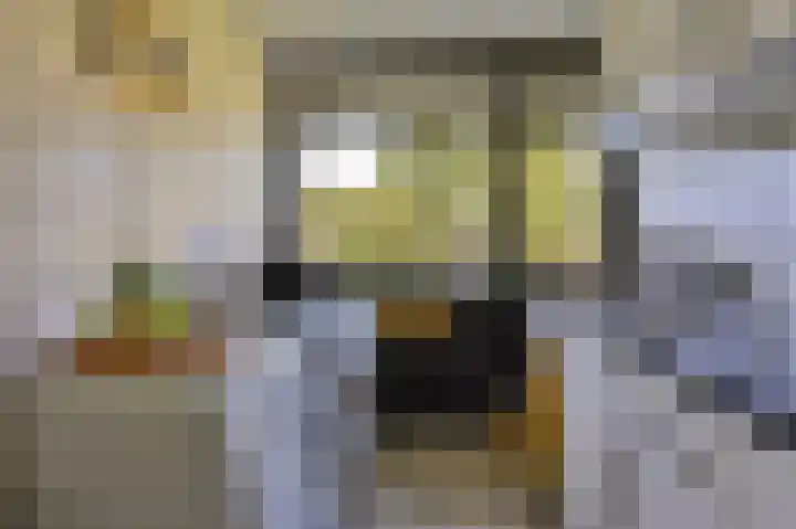 Johan Willem Frisolaan 34 Hoogezand thumbnail 10
