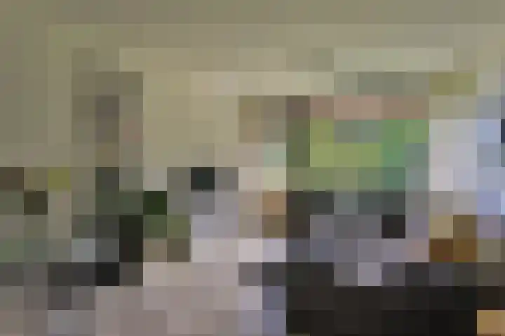 Johan Willem Frisolaan 34 Hoogezand thumbnail 12
