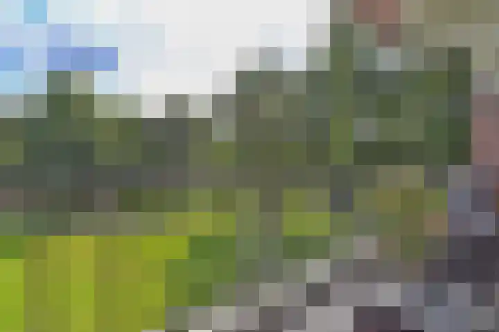 Johan Willem Frisolaan 34 Hoogezand thumbnail 14