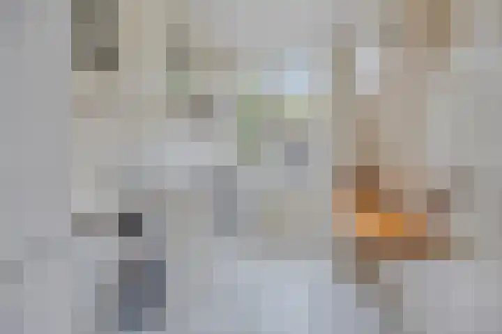 Johan Willem Frisolaan 35 Voorschoten thumbnail 13