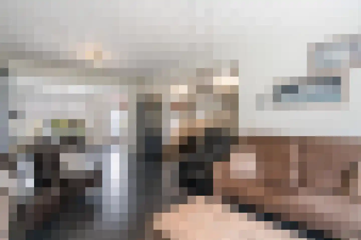 Johan Willem Frisolaan 36 Weert thumbnail 13