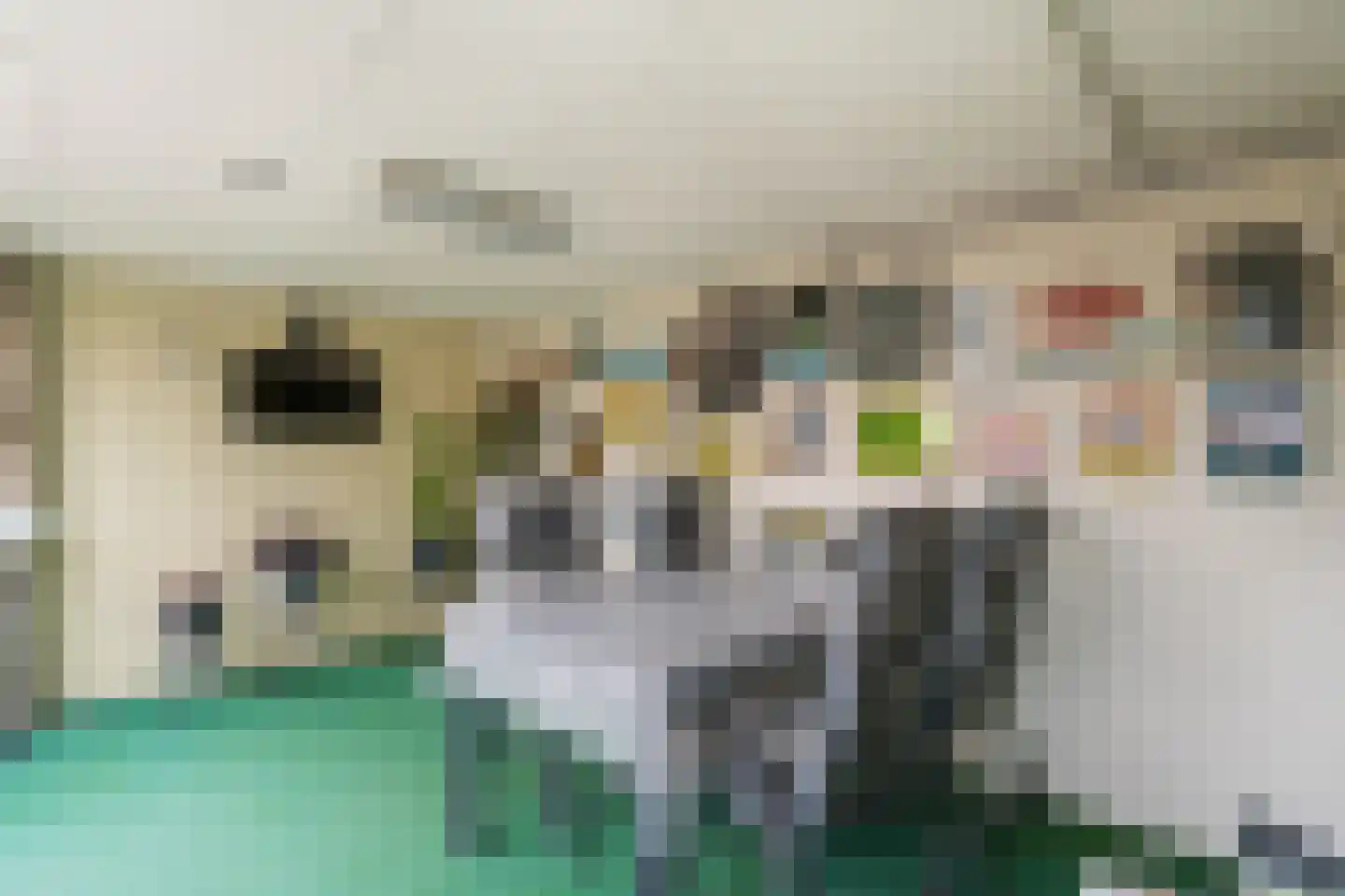 Johan Willem Frisolaan 36 Weert thumbnail 31