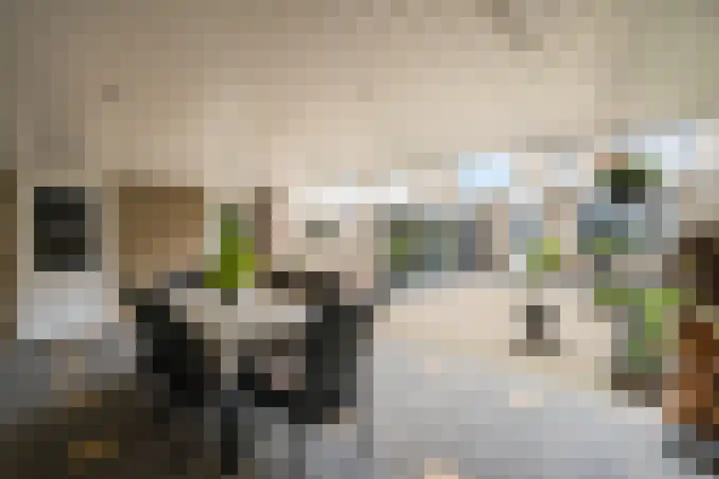 Johan Willem Frisolaan 36 Weert thumbnail 37