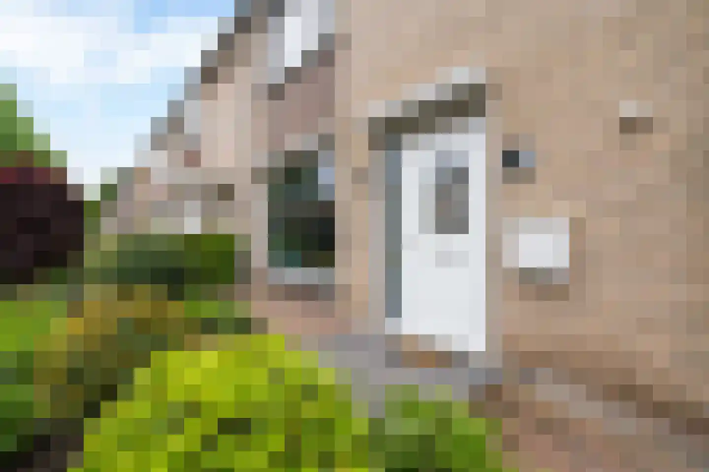 Johan Willem Frisolaan 36 Weert thumbnail 8