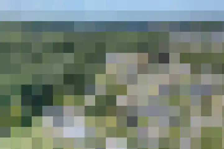 Johan Willem Frisolaan 42 Hoogezand thumbnail 7